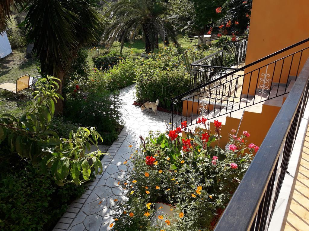 Studios Dimitris Punta Exterior foto